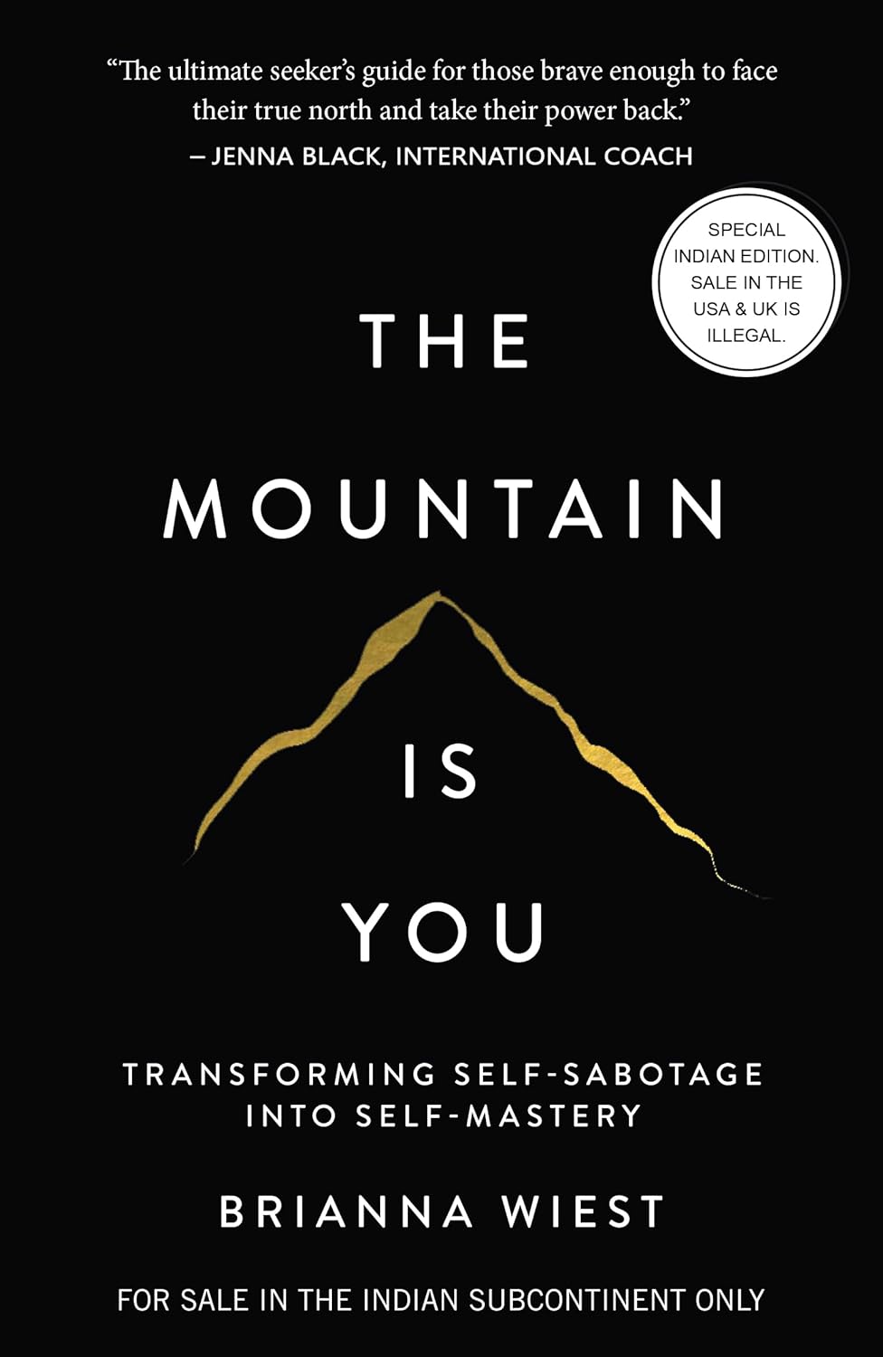 The Mountain Is You by Brianna Wiest -